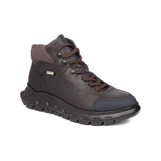 Callaghan 56301 | Squalo 2 Marron Negro