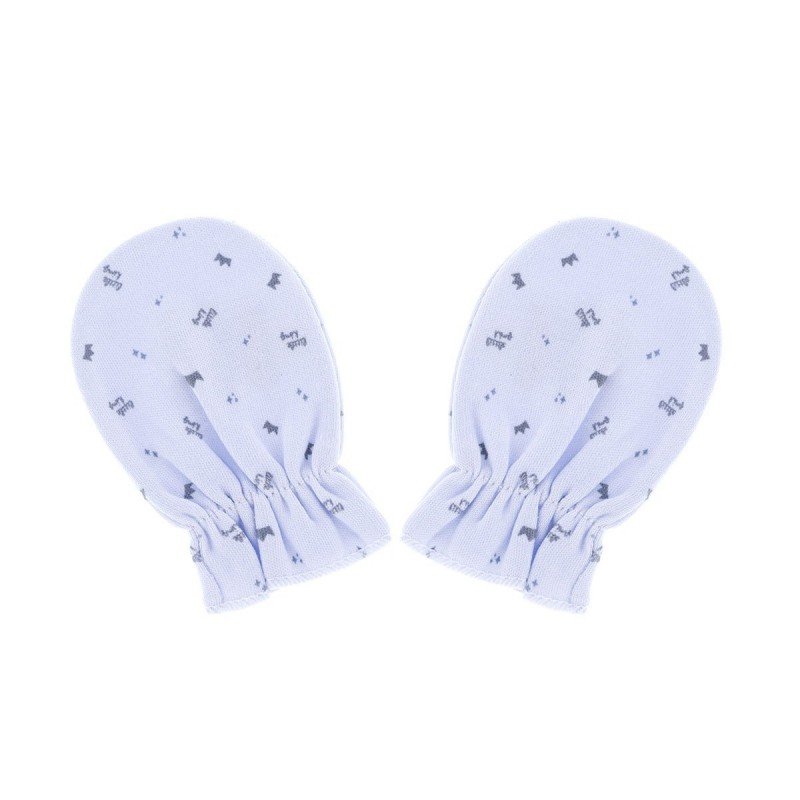 Cambrass MANOPLA P. 442 1 CELESTE