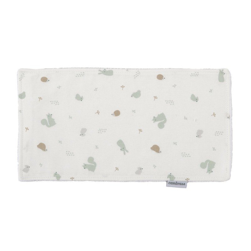 Cambrass SECA BABAS ARDI VERDE 29.5x15.5x1 CM