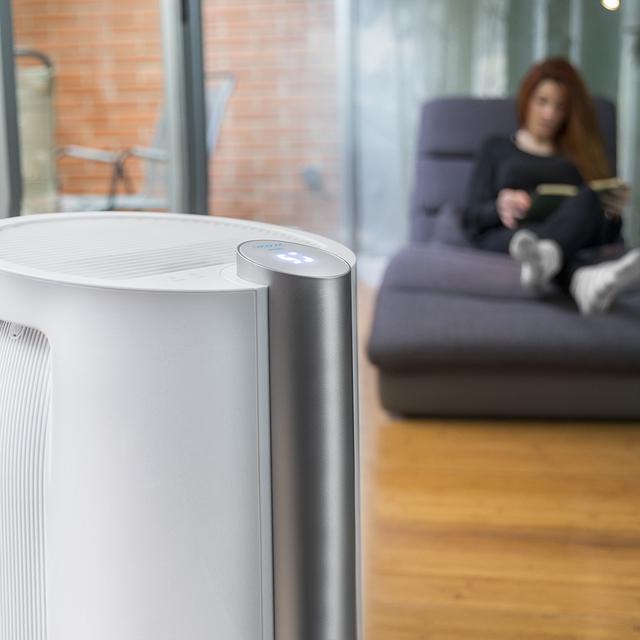 Cecotec Big Dry 9000 Professional. Deshumidificador Con Temporizador 12h 20L/día Depósito Extraíble 4 5L Cobertura 250m3/h Gas R290 Silencioso Humedad 40% A 80% Pantalla LED Apagado Automático Deshumidificador Silencioso  