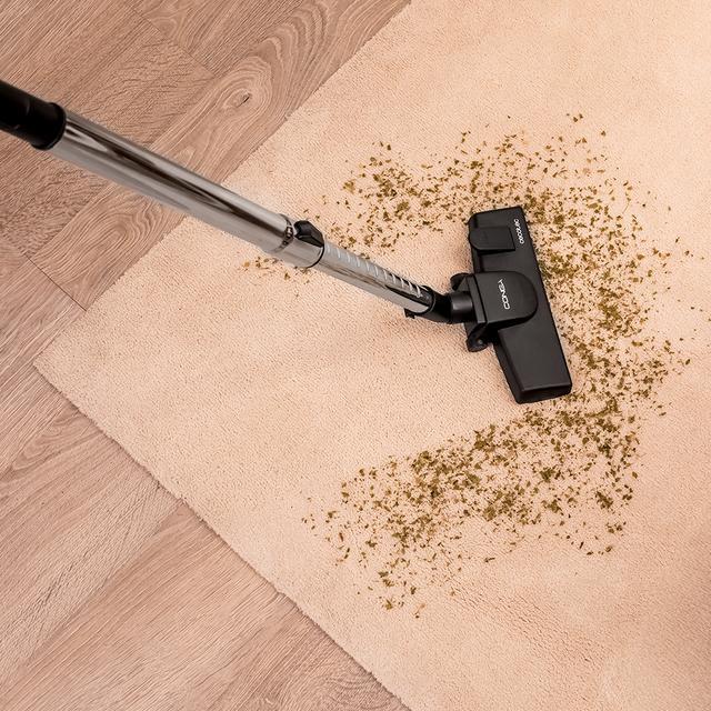 Cecotec Conga Powerbag 2000 Aspirador De Trineo De 800 W De Potencia. Con Bolsa. Máxima Capacidad Del Depósito De Hasta 2 L Con Filtrado De Alta Eficiencia Y Tubo Telescópico Metálico. Incluye Accesorios Aptos Para Muebles Y