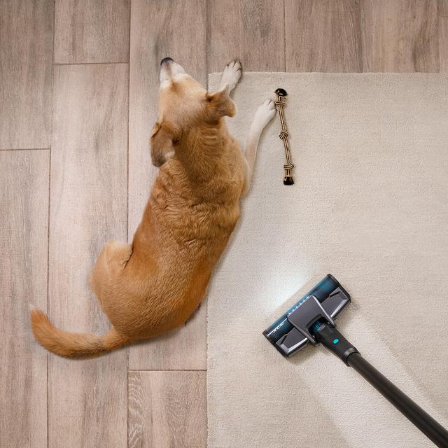 Cecotec Conga Rockstar 2500 X-Treme. Motor Digital 3 En 1 Cepillo Jaliscazo 680 W Y 26 KPa 230 AW Autonomía 90 Min 4 Modos Pantalla Digital Aspirador Vertical Digital