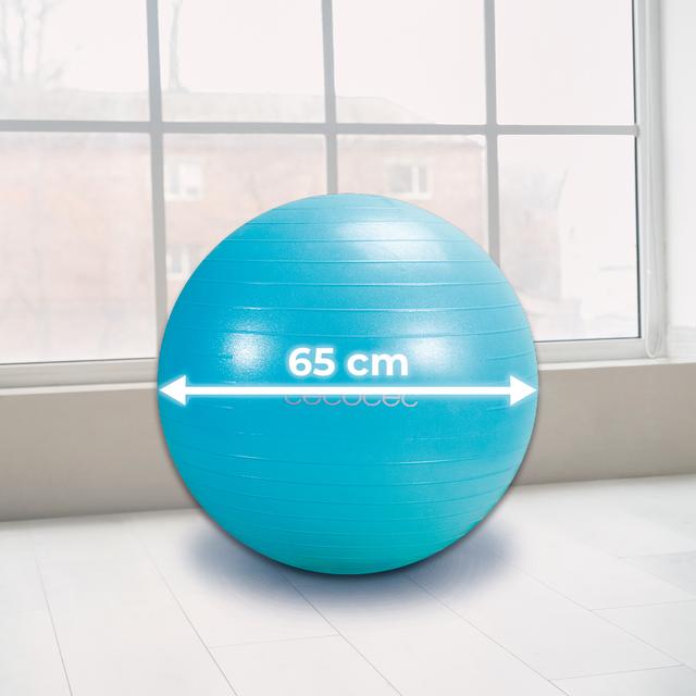 Cecotec DrumFit 65 Fitball Pelota De Fitness De 65 Cm De Diámetro Para Realizar Ejercicios De Tonificación Y Fortalecimiento Además De Estiramientos. Ideal Para Ejercitar Piernas Brazos Abdomen Glúteo Y Espalda. Inflador Inc