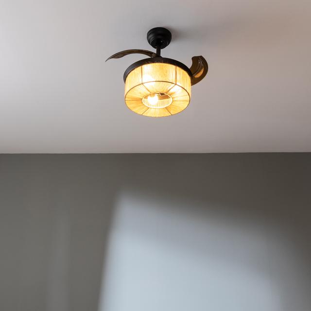 Cecotec EnergySilence Aero 3600 Invisible Natural Style Ventilador De Techo De Diseño Con Motor DC Con Una Potencia De 25W Y Lámpara Integrada Con 3 Aspas Retráctiles 36 Pulgadas Control Remoto 3 Velocidades Temporizador Y Mo