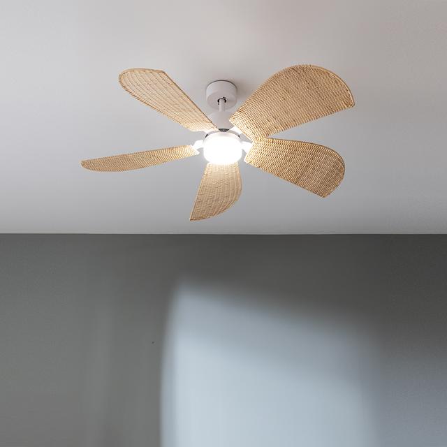 Cecotec EnergySilence Aero 5290 Natural Ventilador De Techo Con Motor DC Incorporado De 40W 52 Pulgadas Luz LED De 18W Temporizador Regulable Entre 1/2/4 Y 8 Horas Modo Winter-summer 6 Velocidades Para Seleccionar Con 5 Aspas Gi