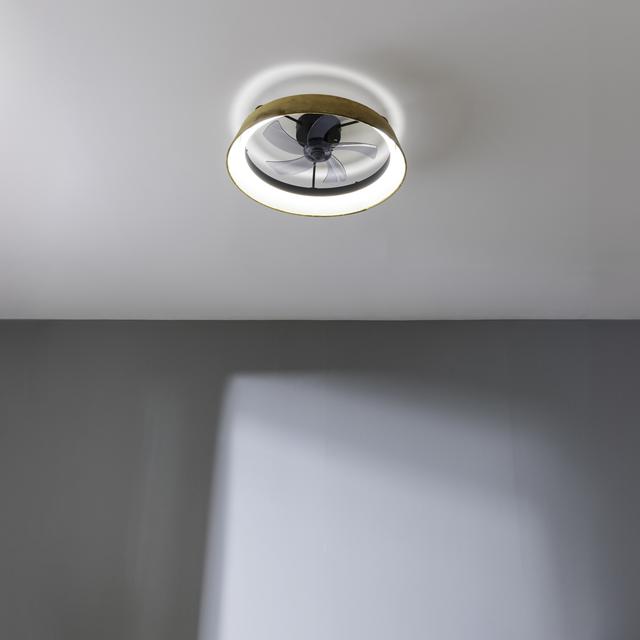 Cecotec EnergySilence LampAero 600 Green Design Ventilador De Techo De Diseño Con Un Motor DC De 20W Y Luz LED De 40W Con 5 Aspas De 17 Pulgadas Control Remoto 6 Velocidades 3 Tonalidades De Luz Disponibles Temporizador Y Modo