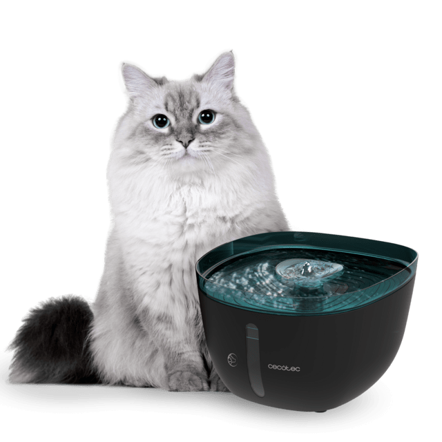 Cecotec Pumba 2200 Refresh Fuente automática para mascotas con capacidad de 2 litros incluye filtro y luz interior. Fuente de agua para gatos y perros. Bebedero automático