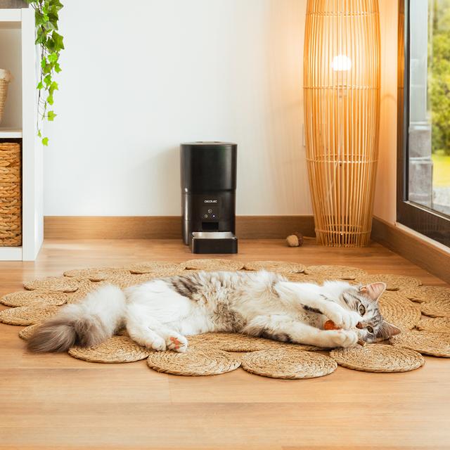 Cecotec Pumba 6000 Purrfect Meal Smart Comedero Automático Para Mascotas Con Control Wifi Con 6 Litros De Capacidad Y Control De Porciones. Comedero Automático Wifi