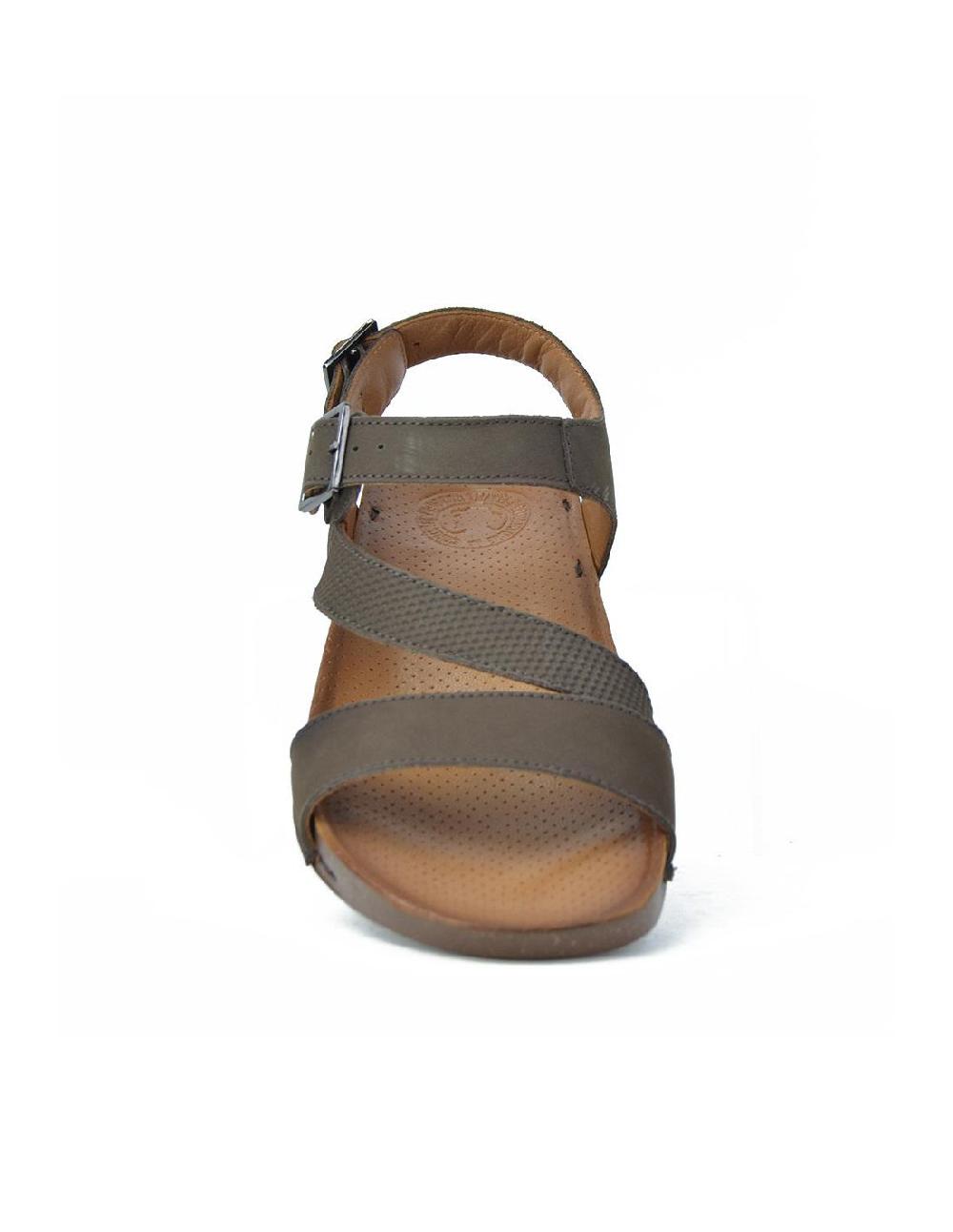 Coronel Tapiocca C116-58