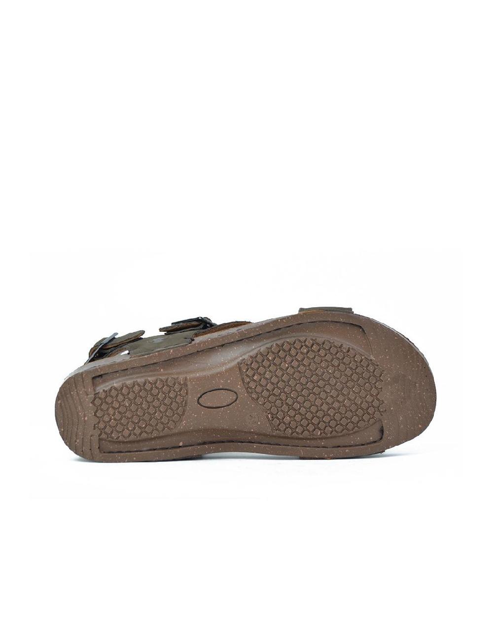 Coronel Tapiocca C116-58