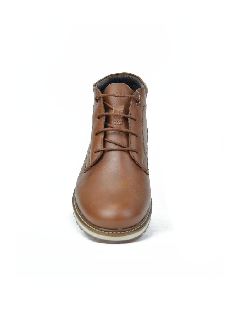 Coronel Tapiocca C167-23