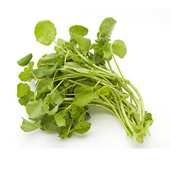 Corpore sano Berro: Hidratante y Antioxidante