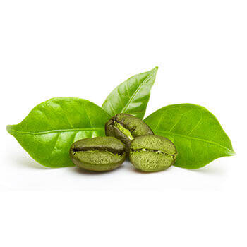 Corpore sano Cafeína