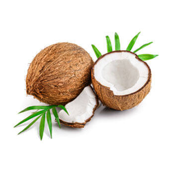 Corpore sano Coco: Acondicionador y nutritivo