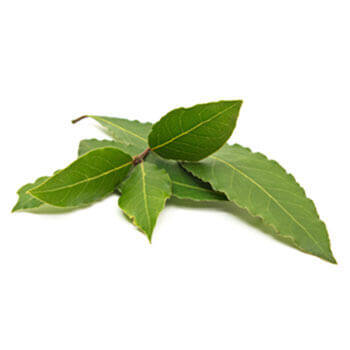 Corpore sano Laurel: Purificante y Antioxidante