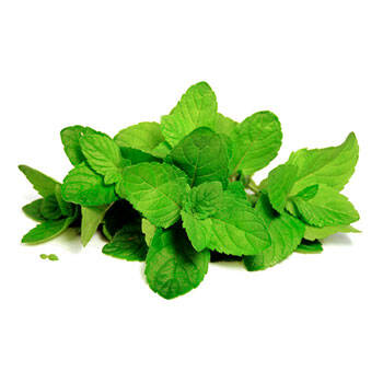 Corpore sano Menta: Refrescante y Antimicrobiana