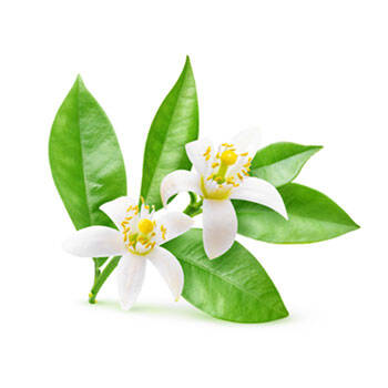 Corpore sano Neroli: Sugerente y cítrico