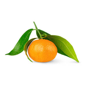 Corpore sano Petit Grain: Calmante y Purificante