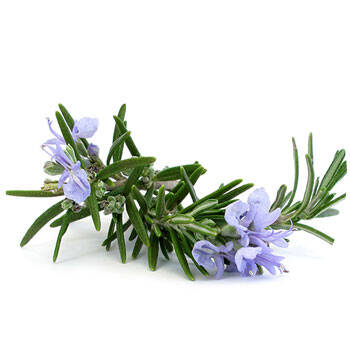 Corpore sano Romero: Purificante y Antiinflamatorio