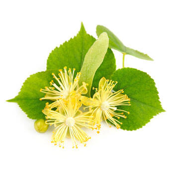 Corpore sano Tilo: Purificante y Relajante