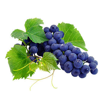 Corpore sano Vid Roja: Tonificante y Antiedad