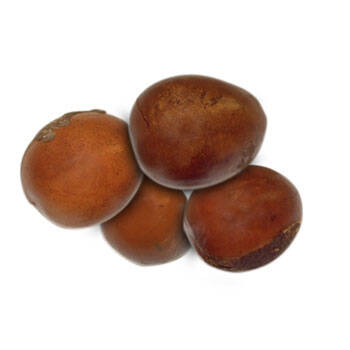 Corpore sano Manteca de Karité: Hidratante y Nutritiva