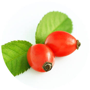 Corpore sano Rosa Mosqueta: Hidratante y Regeneradora