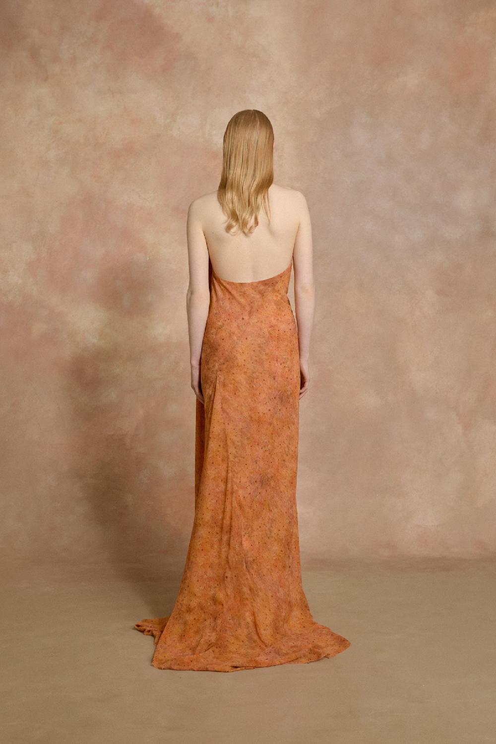 Cortana Lara Vestido Largo Sora Print