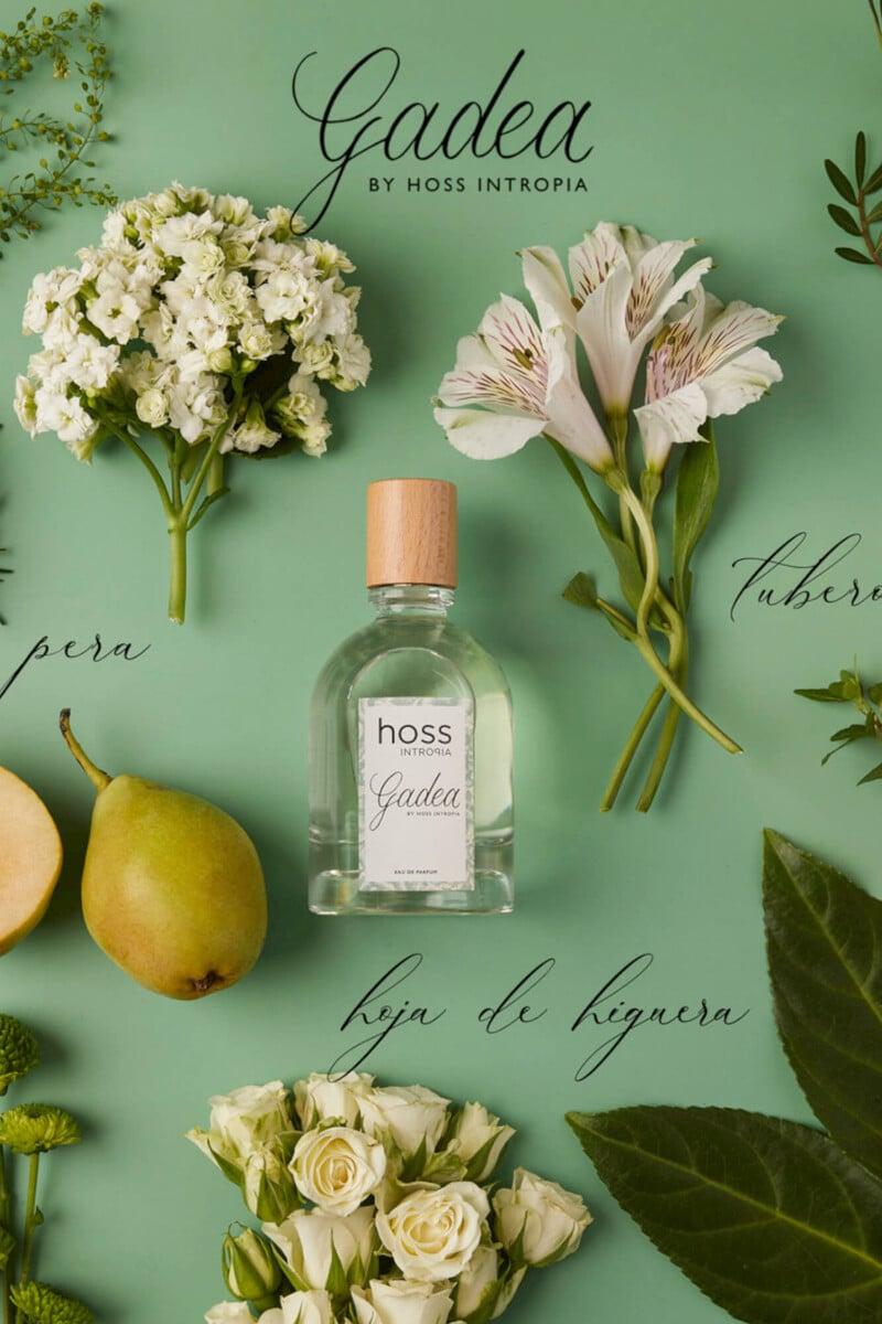 Cortefiel Gadea Perfume Hoss Intropia