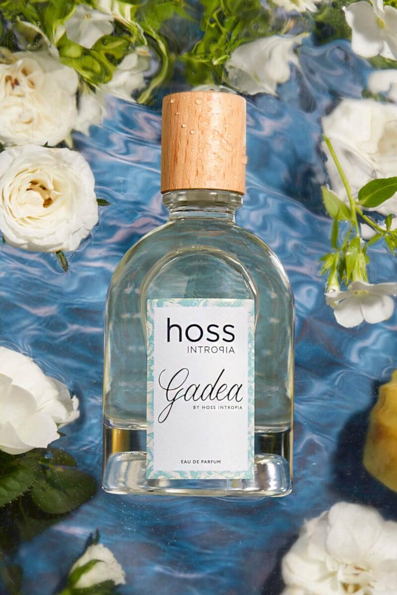 Cortefiel Gadea Perfume Hoss Intropia
