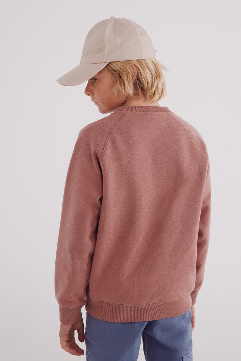 Cortefiel Sudadera Arbol Niño