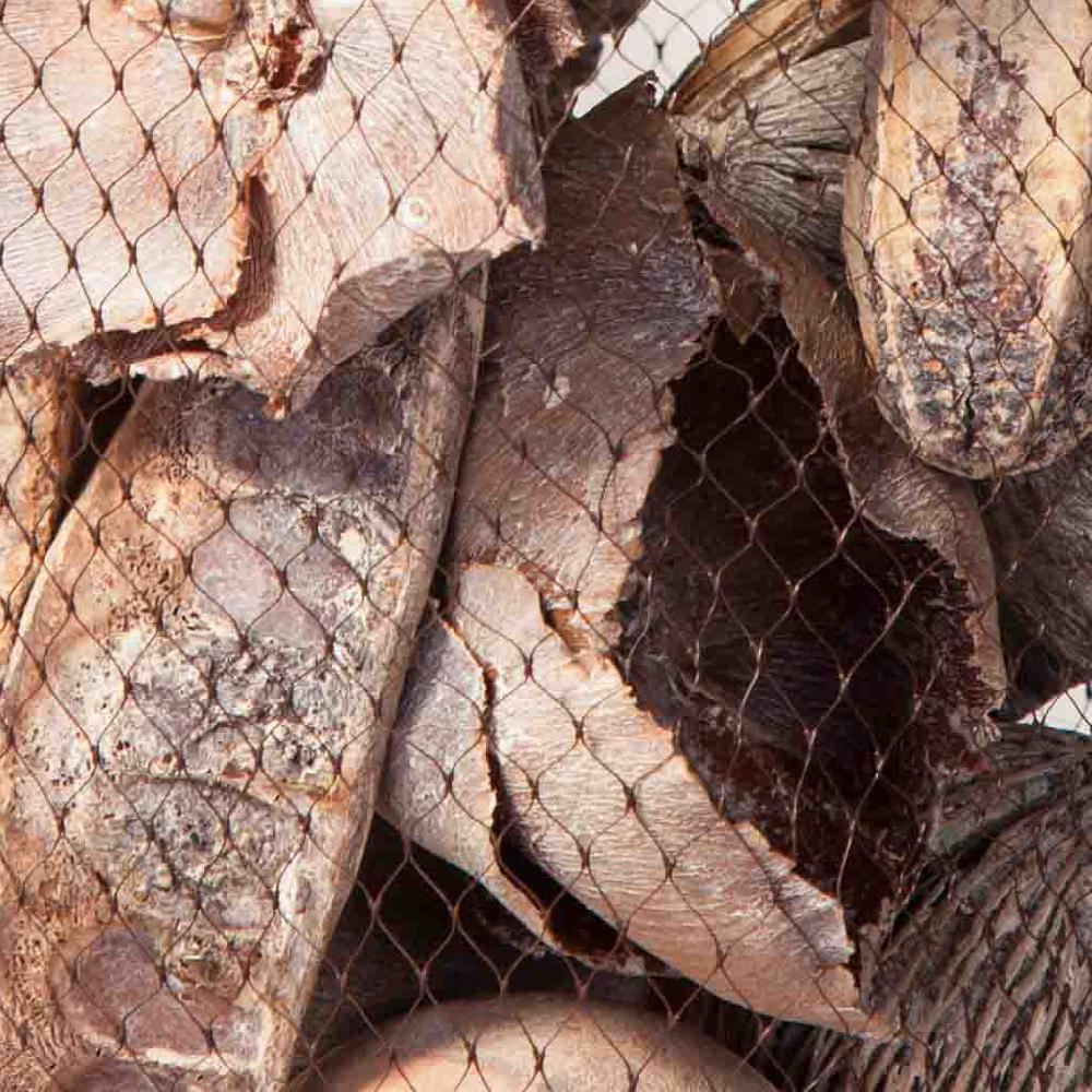 Creaciones Meng DECORACION - BURI CANYAS MIMBRE FLOR - Flores Secas Decorativas