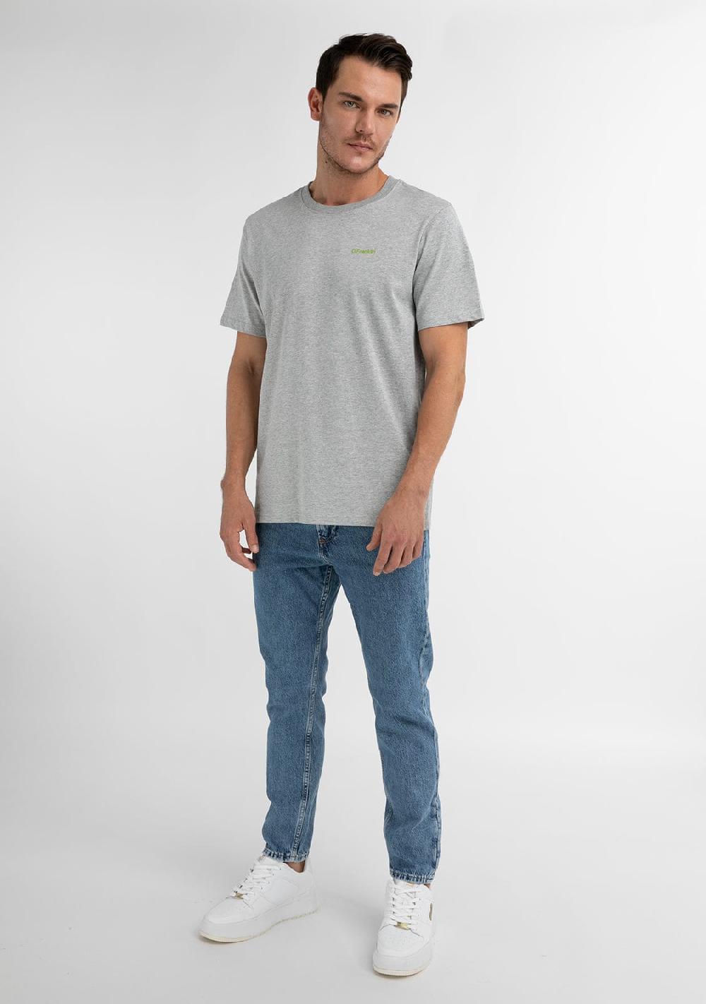 D.franklin Basic Logo T-Shirt Grey / Green
