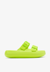 D.franklin Bloomer Bio Lime