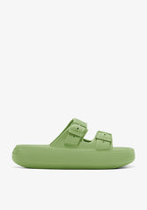 D.franklin Bloomer Bio Olive