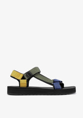 D.franklin Forest Neo Khaki / Black