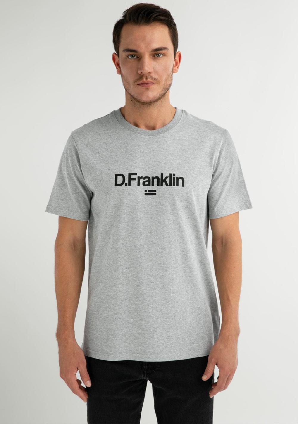 D.franklin Logo Flag T-Shirt Grey / Black