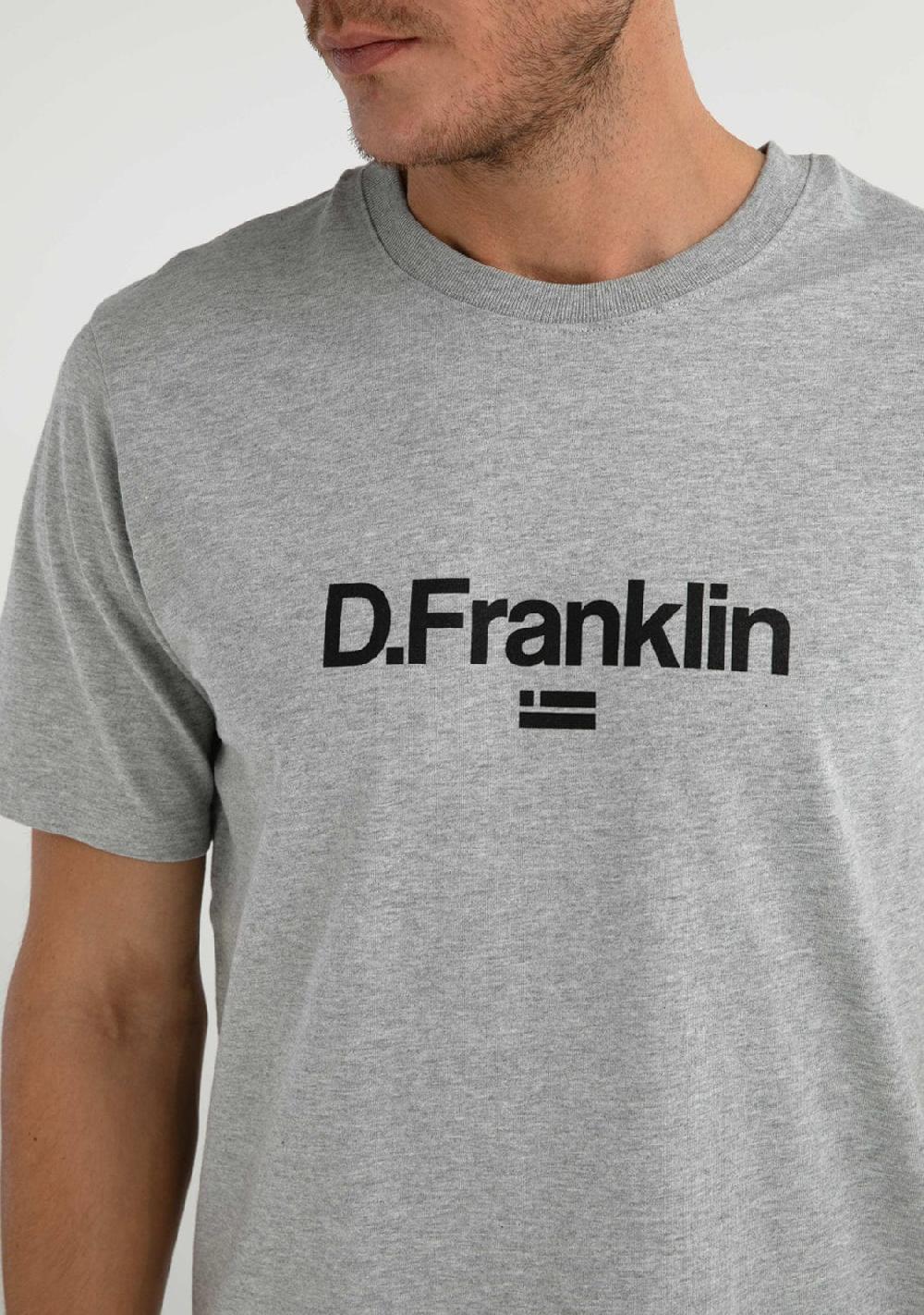 D.franklin Logo Flag T-Shirt Grey / Black