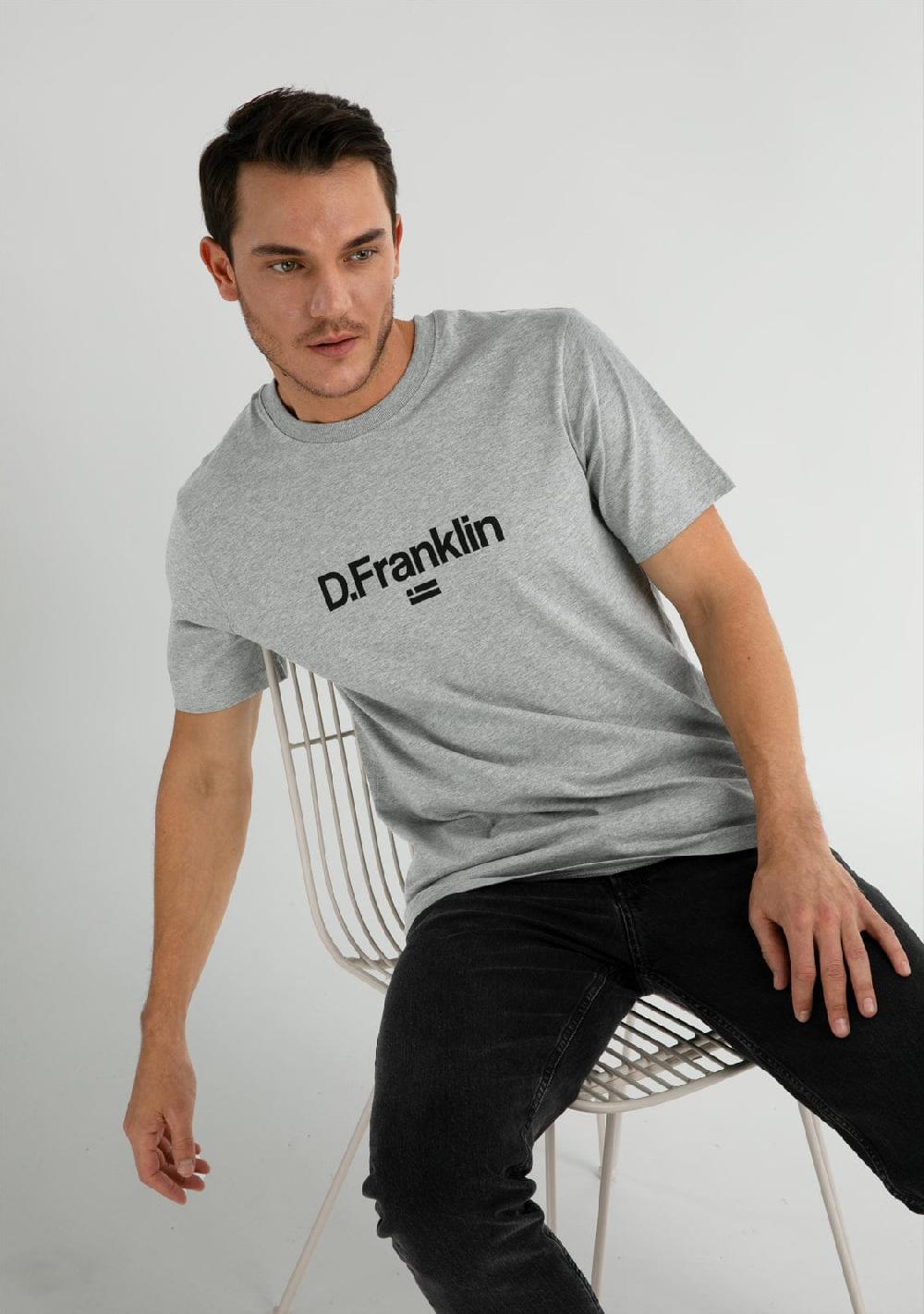 D.franklin Logo Flag T-Shirt Grey / Black