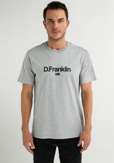 D.franklin Logo Flag T-Shirt Grey / Black