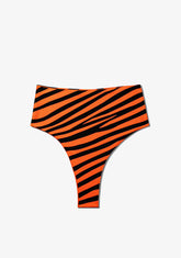 D.franklin Maui Bottom Zebra Orange