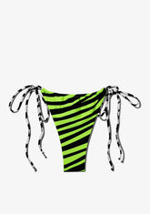 D.franklin Samoa Bottom Zebra Lime