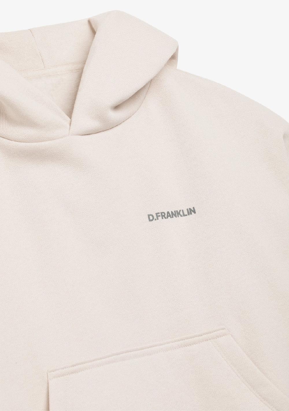 D.franklin Worldwide Crop Hoodie Ice Grey