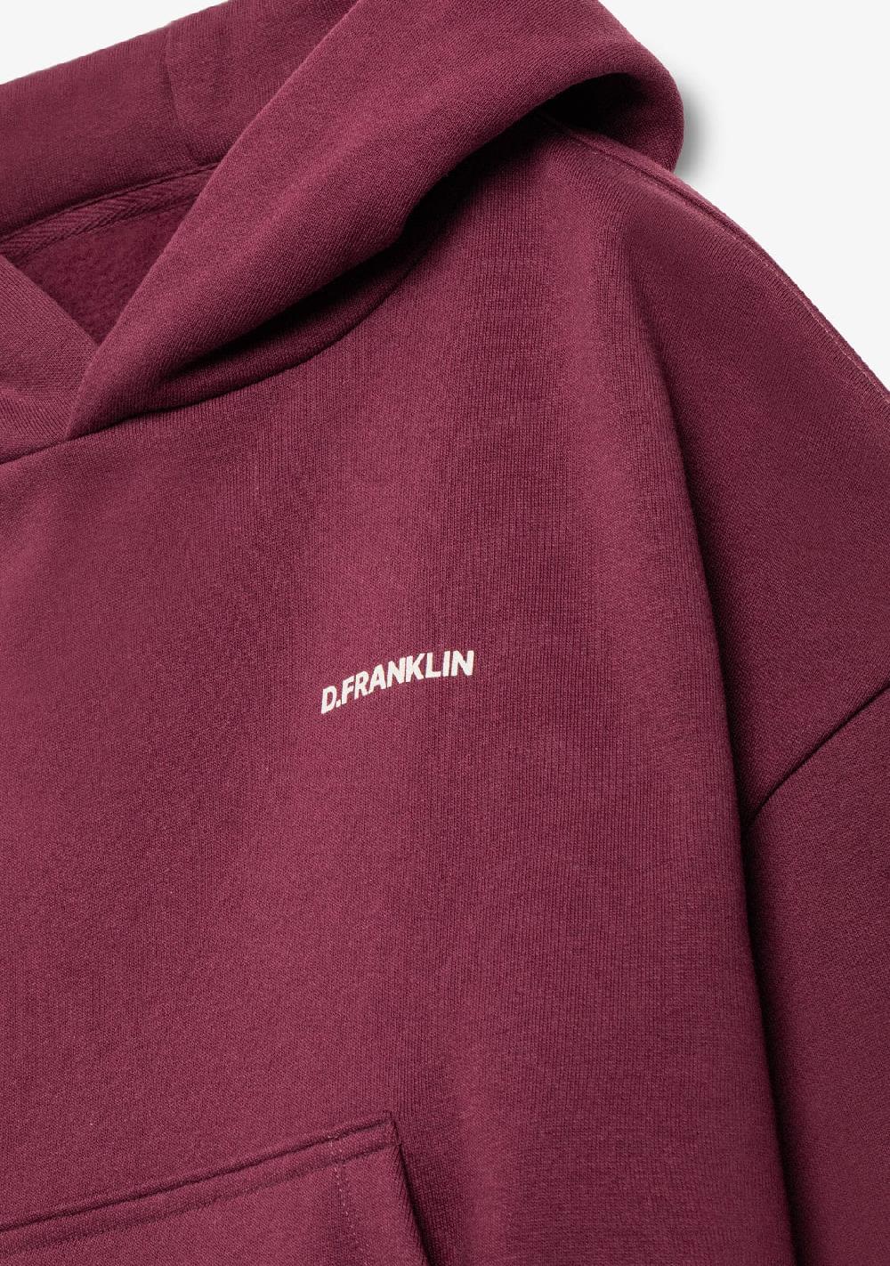 D.franklin Worldwide Crop Hoodie Wine