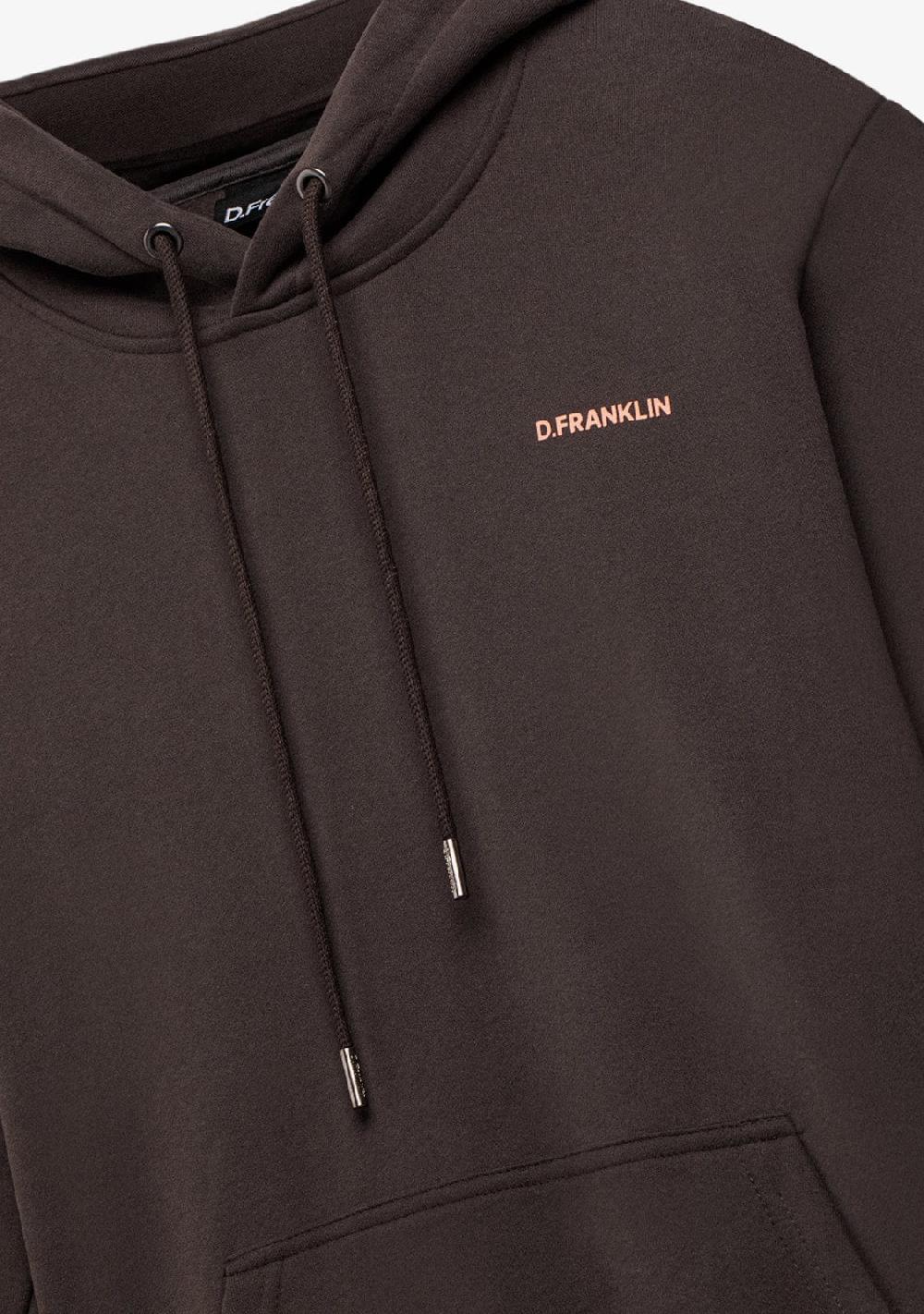 D.franklin Worldwide Hoodie Brown