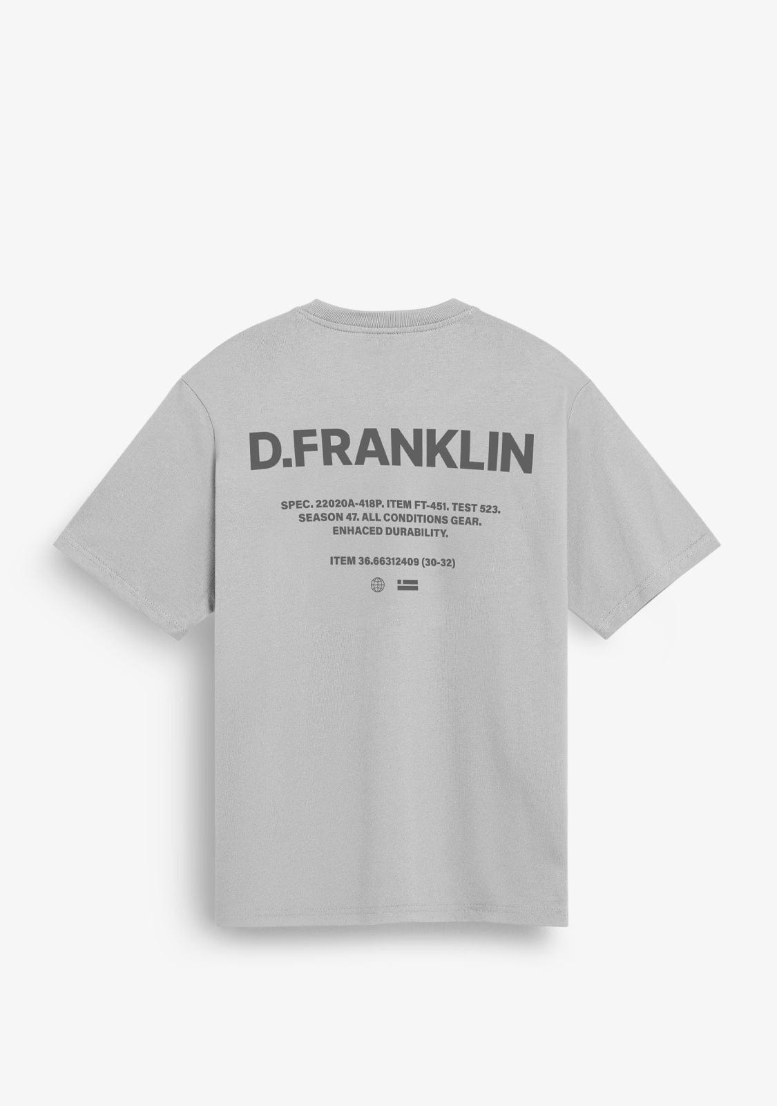 D.franklin Worldwide Tee Ice Grey