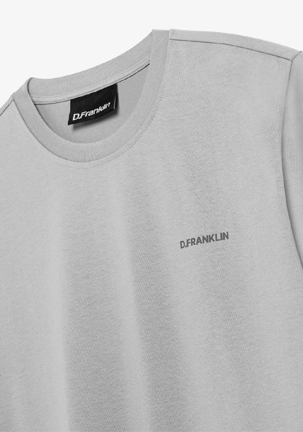 D.franklin Worldwide Tee Ice Grey