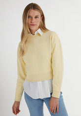 D.franklin Embroidery Logo Cropped Crew Necks Sweatshirt / Butter