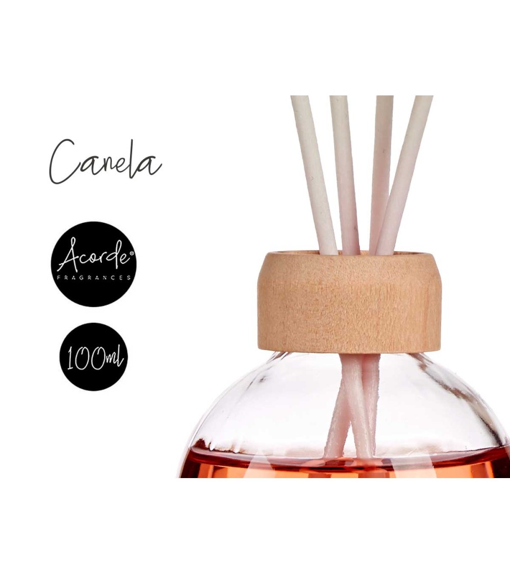 Dcasa Ambientador Mikado 100ml Con Varilla Canela