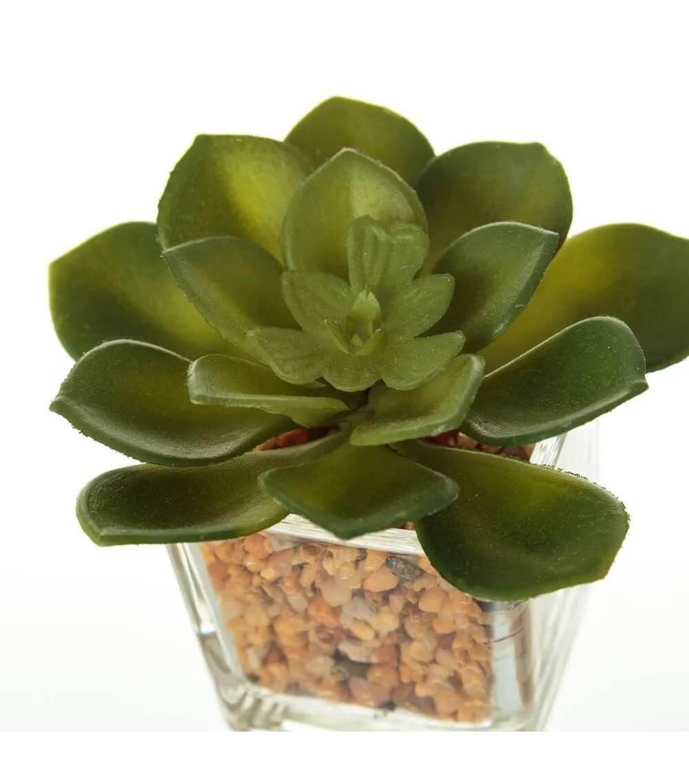 Dcasa Pack 6 Cactus Artificial Plástico En Maceta De Cristal
